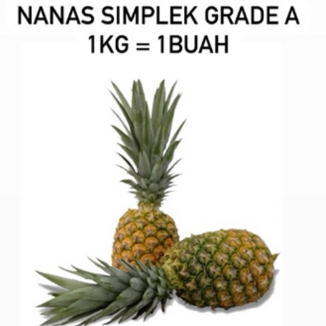 

NANAS SIMPLEK GRADE A (UTUH PERBUAH DENGAN DAUN)