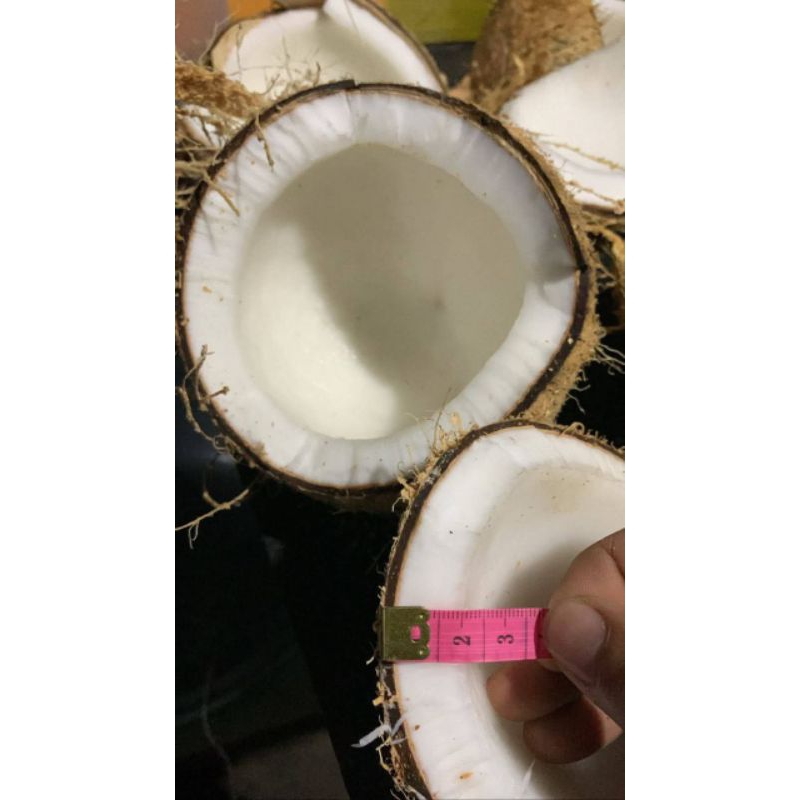 

kelapa tua fres kelapa Ciamis lokalan