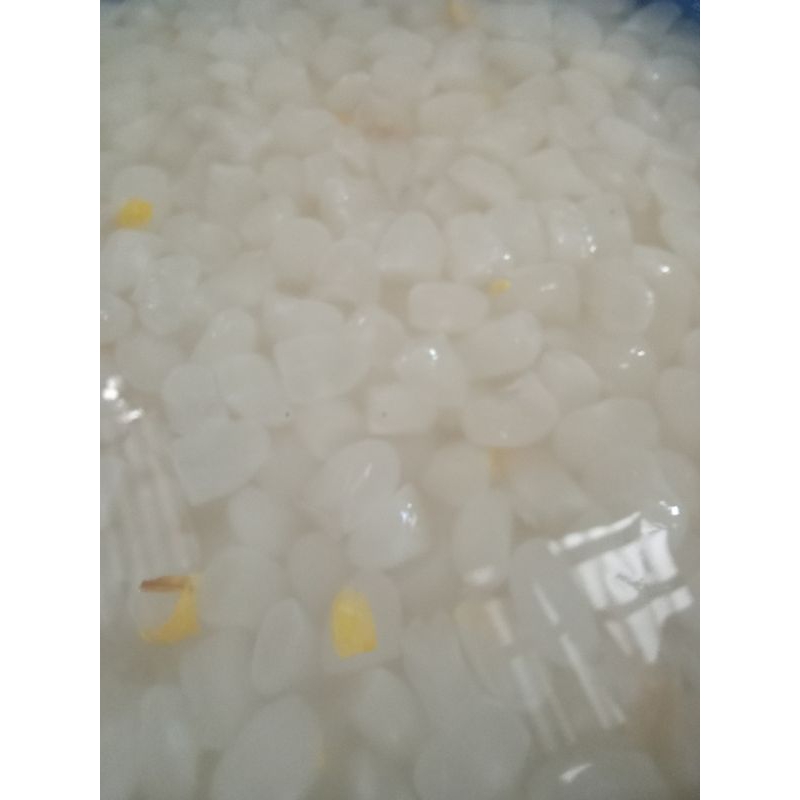 

buah kolang Kaling berat 5 kg