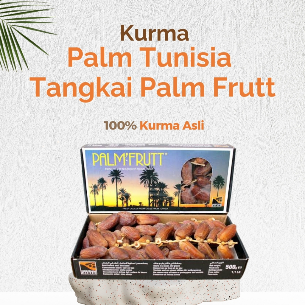 

Kurma Palm Tunisia Tangkai Palm Frutt