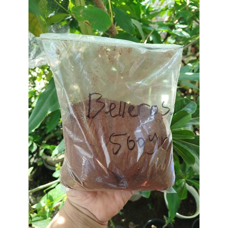 

Schoko Cocoa Powder Belle Rose Repack Kemasan 500gram