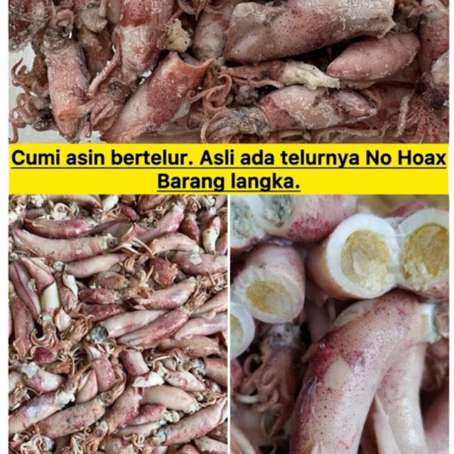 

Cumi Asin bertelur 200gr / Cumi Cumi Asin Best Seller