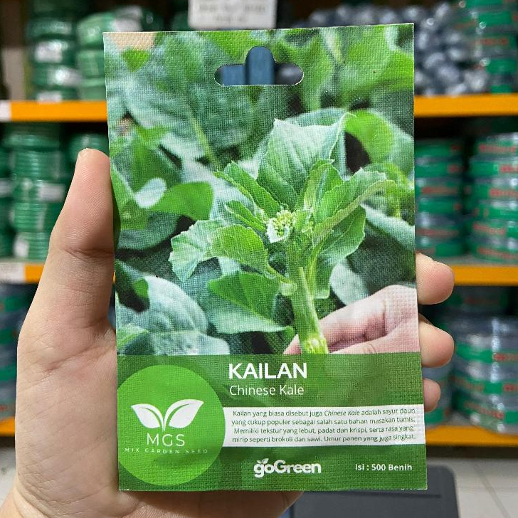 Benih Sayur Kailan/Sayur Kale-Benih Kailan Murah-Benih Chinese Kale