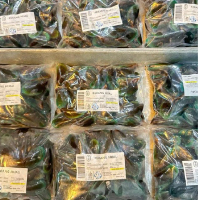 

Kerang hijau 1kg murah