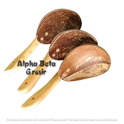 Centong Nasi PADANG Batok Kelapa / Centong Nasi Kayu / Centong Nasi Batok Kelapa /alpha centong nasi