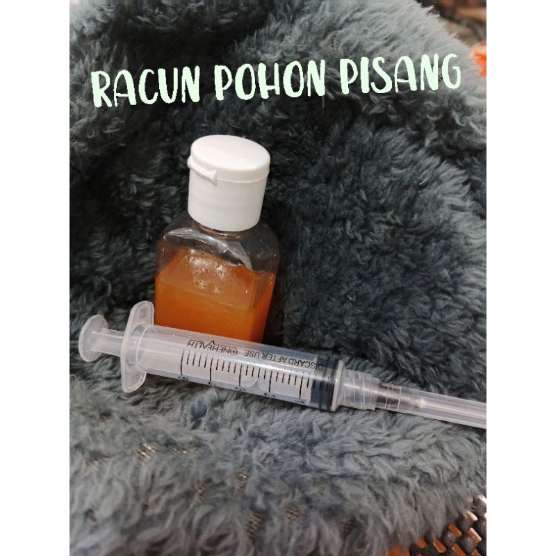 SUNTIK Racun Pohon PISANG, jenis Suntik, AMPUHHH