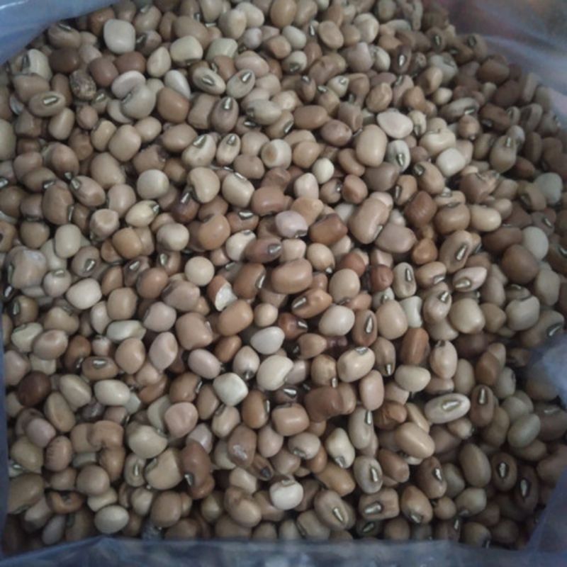

Kacang Tunggak import/kacang tolo 1kg