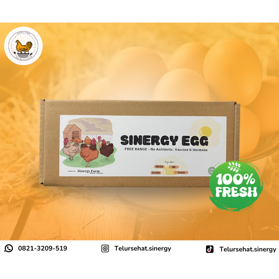 Telur Ayam Sinergy Egg - telur sehat dari peternakan free range tanpa antibiotik