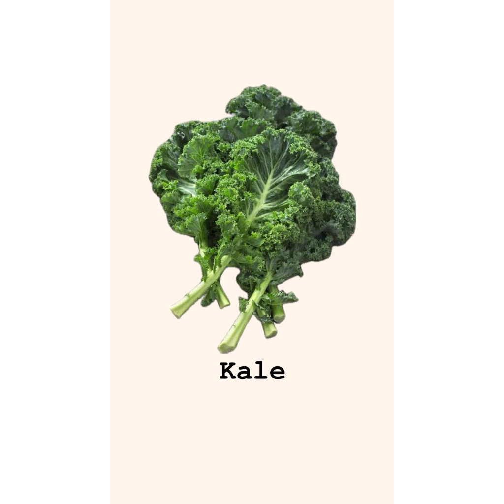 

Kale Organik Fresh 200 Gram Tangan Hejo Bandung