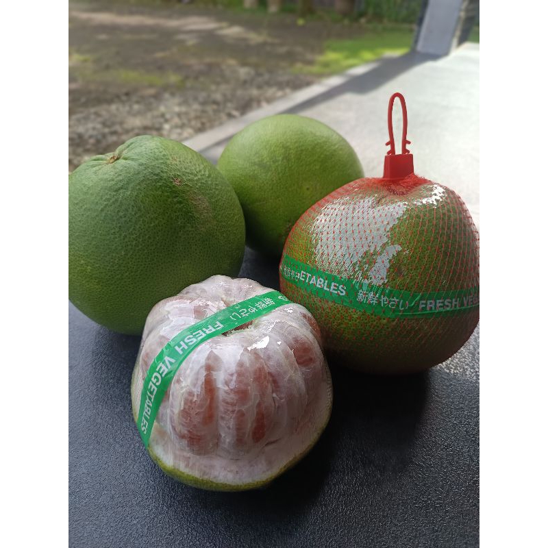 

PAMELO (BELI 1 GRATIS 1) BB 600-800 ONS