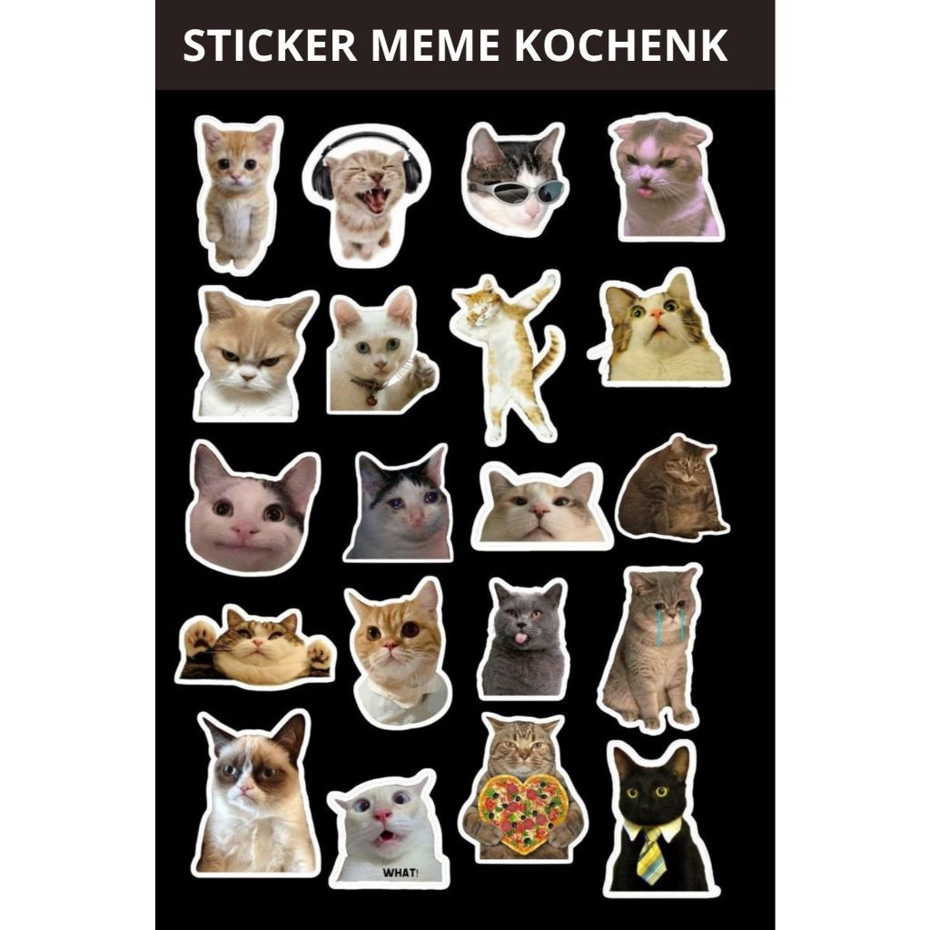 

Sticker Meme Kucing Custom Non Cutting 10x15cm - Sticker Aesthetic Keren untuk HP, Laptop, Helm, Motor & Barang Kesayangan - Sticker Berkualitas dan Mudah Dipasang