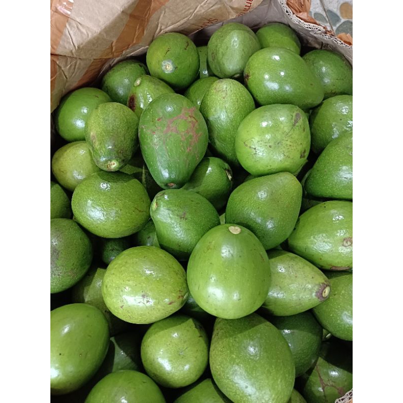 

Buah Alpukat Mentega 1 Kg