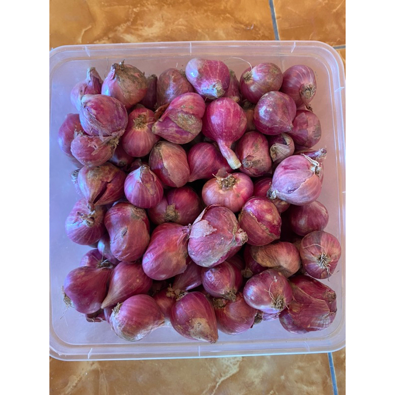 

Bawang merah ukuran besar 1kg