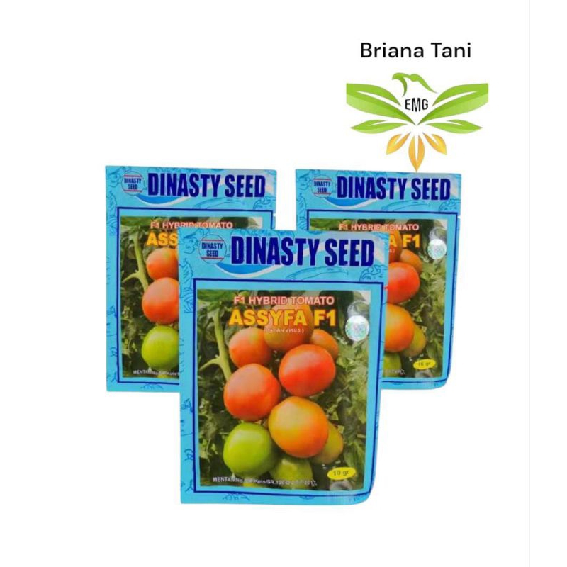 Assyfa F1 10gr Hybrid Tomato Dinasty Seed