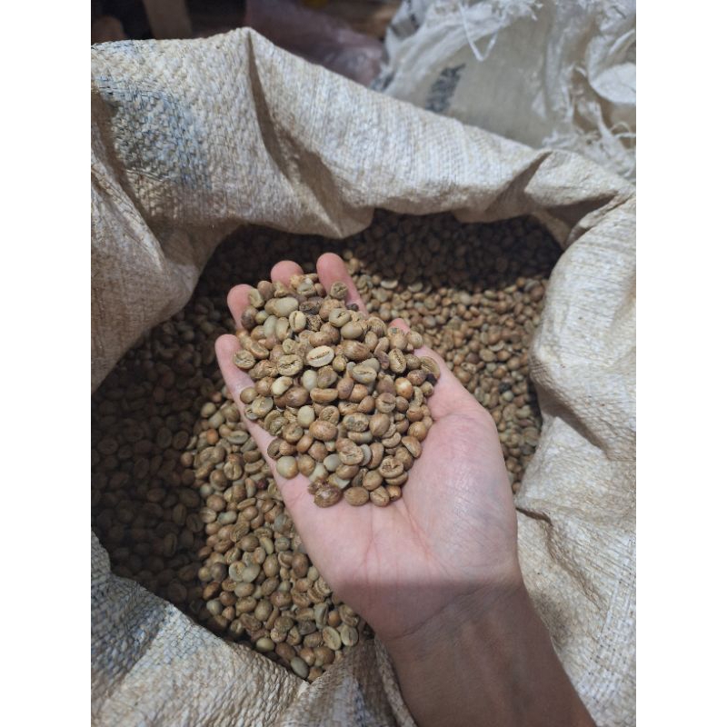 

kopi robusta greenbean