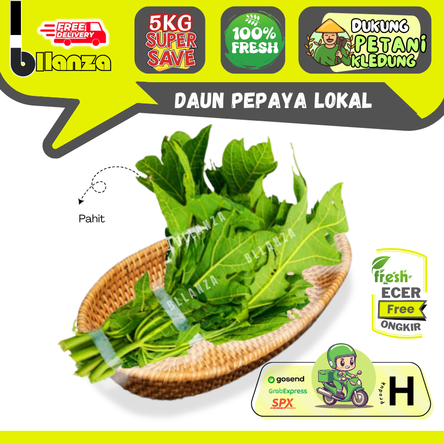 

Bllanza | Daun Pepaya Lokal — Sahabat Makan Sayur ECER (H)