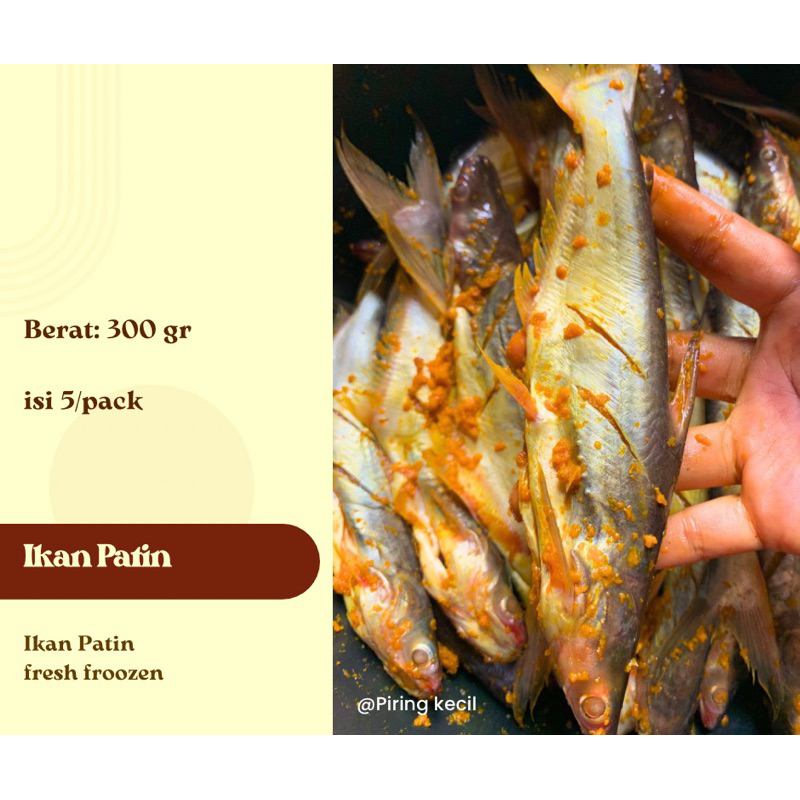 

ikan patin marinasi / ikan marinasi froozen / ikan siap goreng