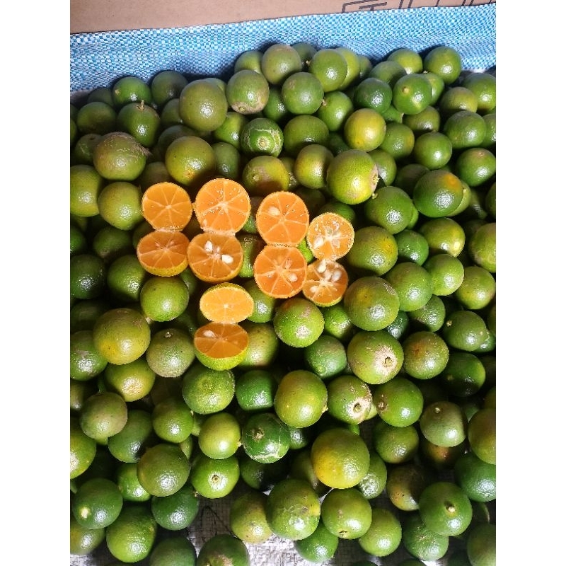 

jeruk kasturi/jeruk songkit/jeruk lemon cuy/langsung dari kebun sendiri ( 5kg HARGA TERMURAH DAN TERJANGKAU )