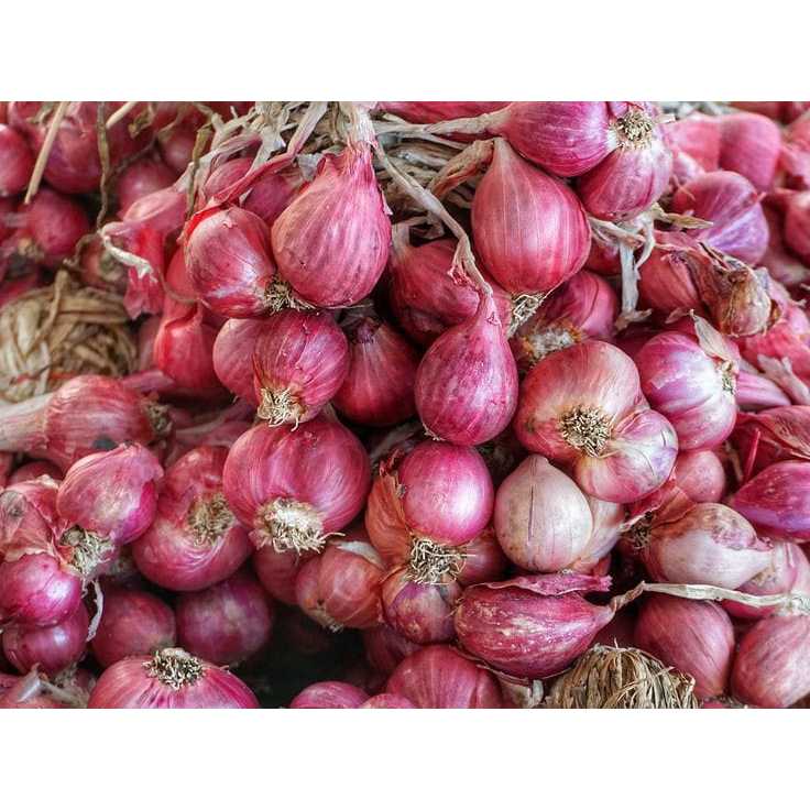 

bawang merah brebes murah terlaris 1kg