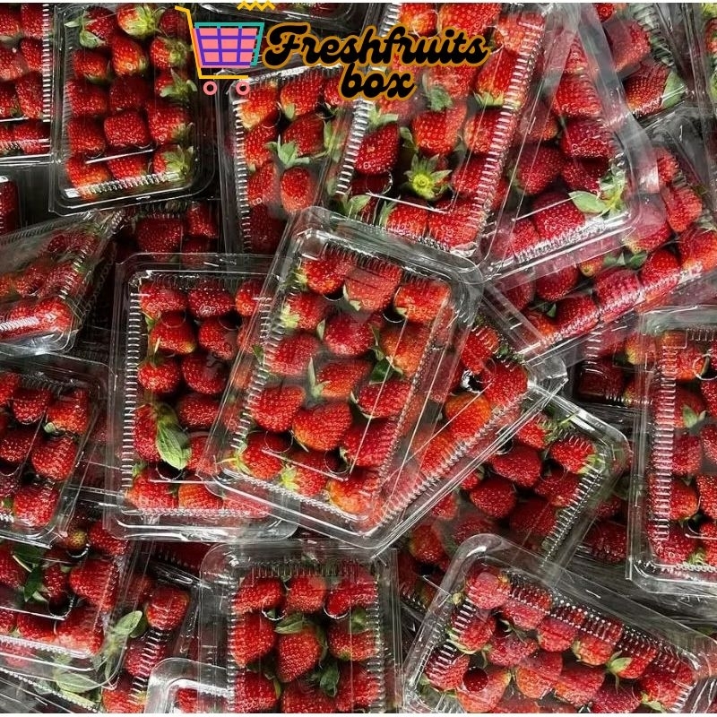 

Strawberry Organik Asam,Manis Segar