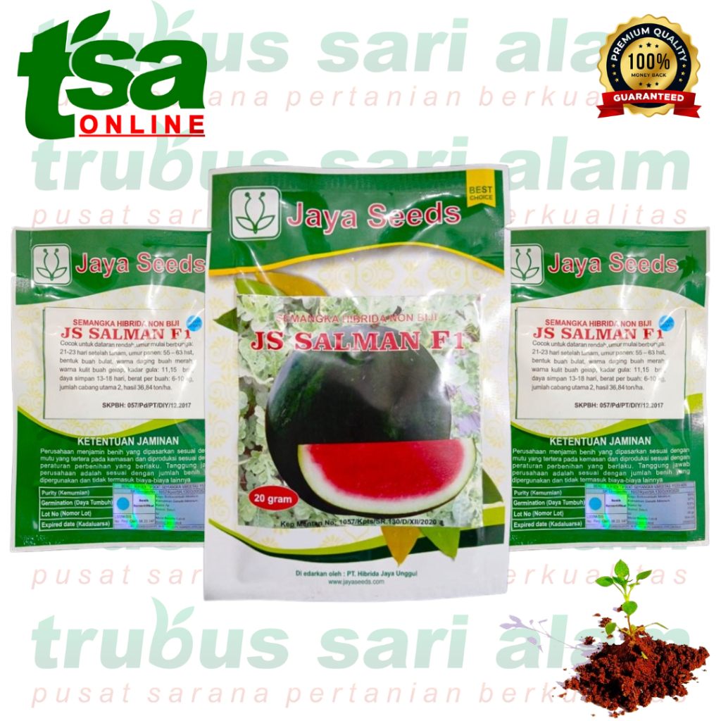 JS SALMAN F1 NON BIJI 20gr - Benih bibit biji buah semangka manis tanpa biji JAYA SEEDS