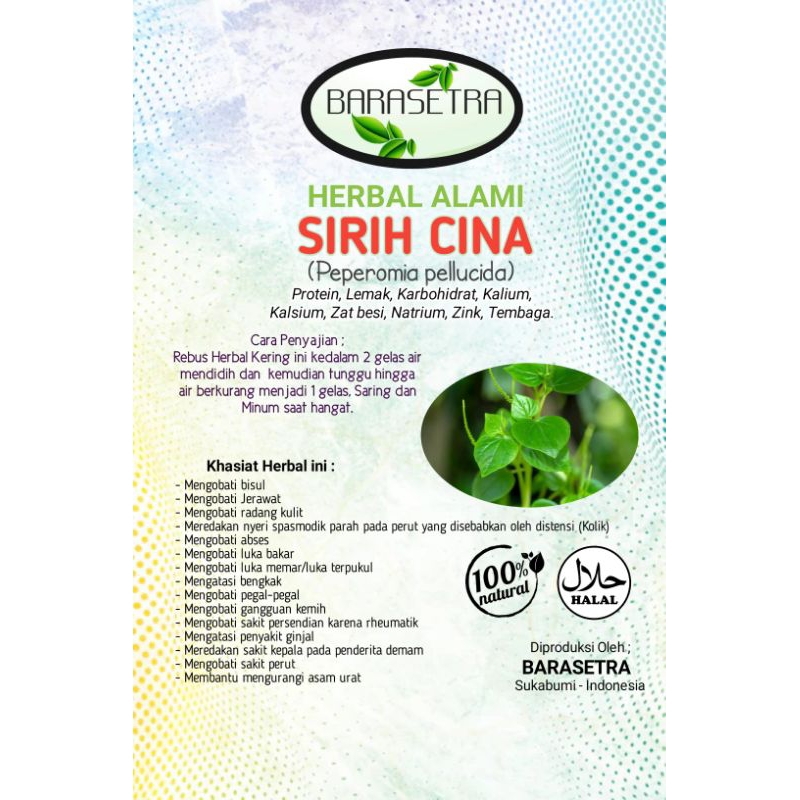 

SIRIH CINA atau daun Suruhan. Tanaman Gulma segudang manfaat. sebagai pengobatan herbal alami tradisional tanpa efek samping. Sirih cina kering segudang manfaat untuk kesehatan. Jamu Herbal Tradisional dari BARASETRA. Sirih cina atau Suruhan.