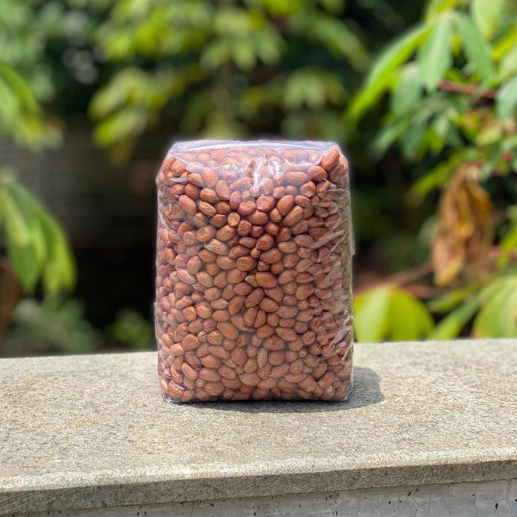 

Kacang tanah mentah premium termurah