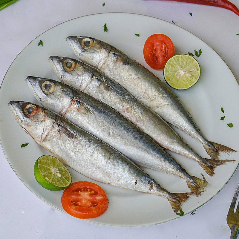 Ikan Salem Frozen 1 KG