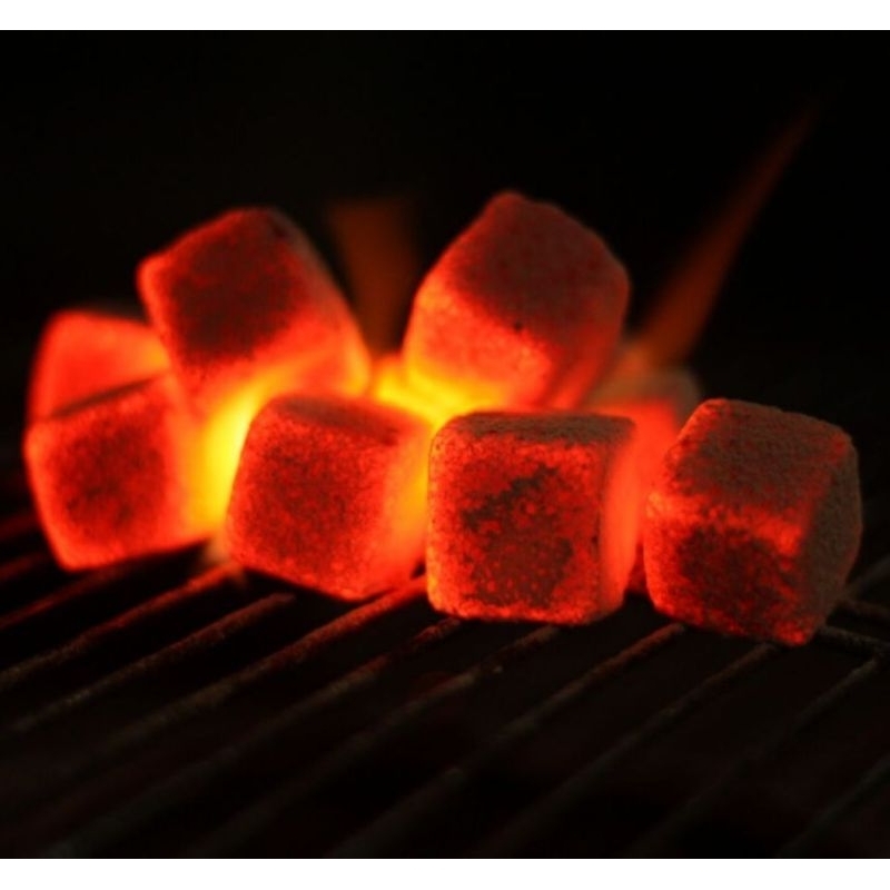 arang briket batok kelapa BBQ shisa premium