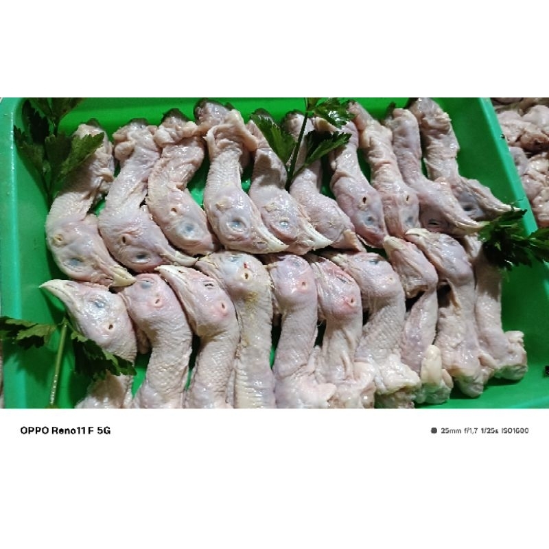 

kepala ayam negri segar