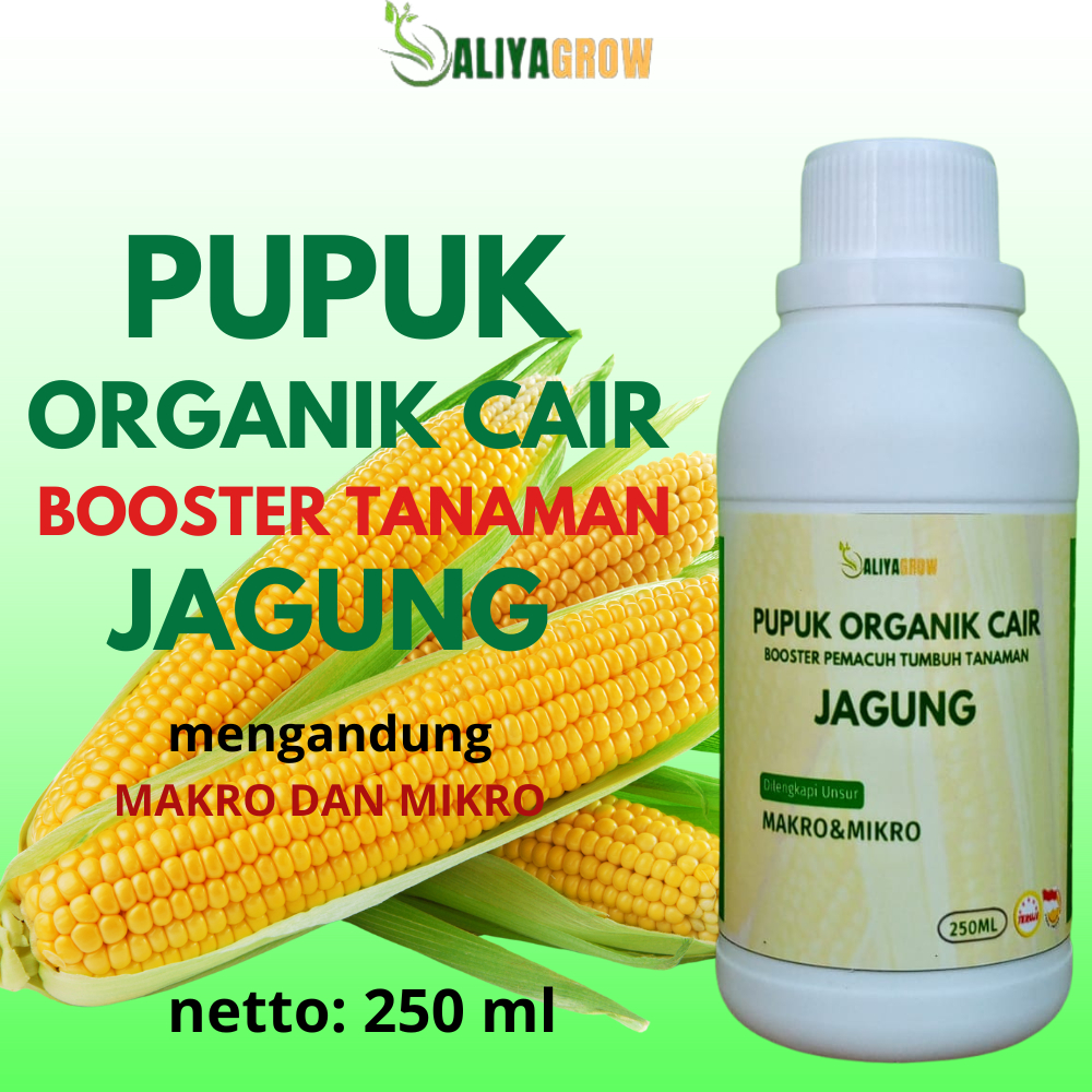 pupuk untuk jagung/pupuk organik jagung/pupuk cair untuk jagung/pupuk jagung manis/booster jagung