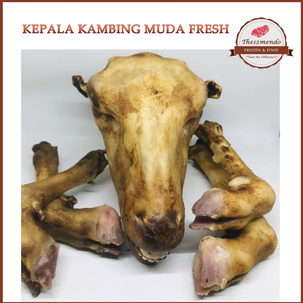 

Thesz Mendo - Kepala Kambing Muda Segar 1,5 kilogram dan kaki kambing