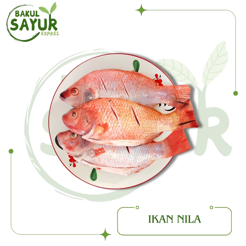 

Ikan Nila Segar Bersih | Bakul Sayur Expres