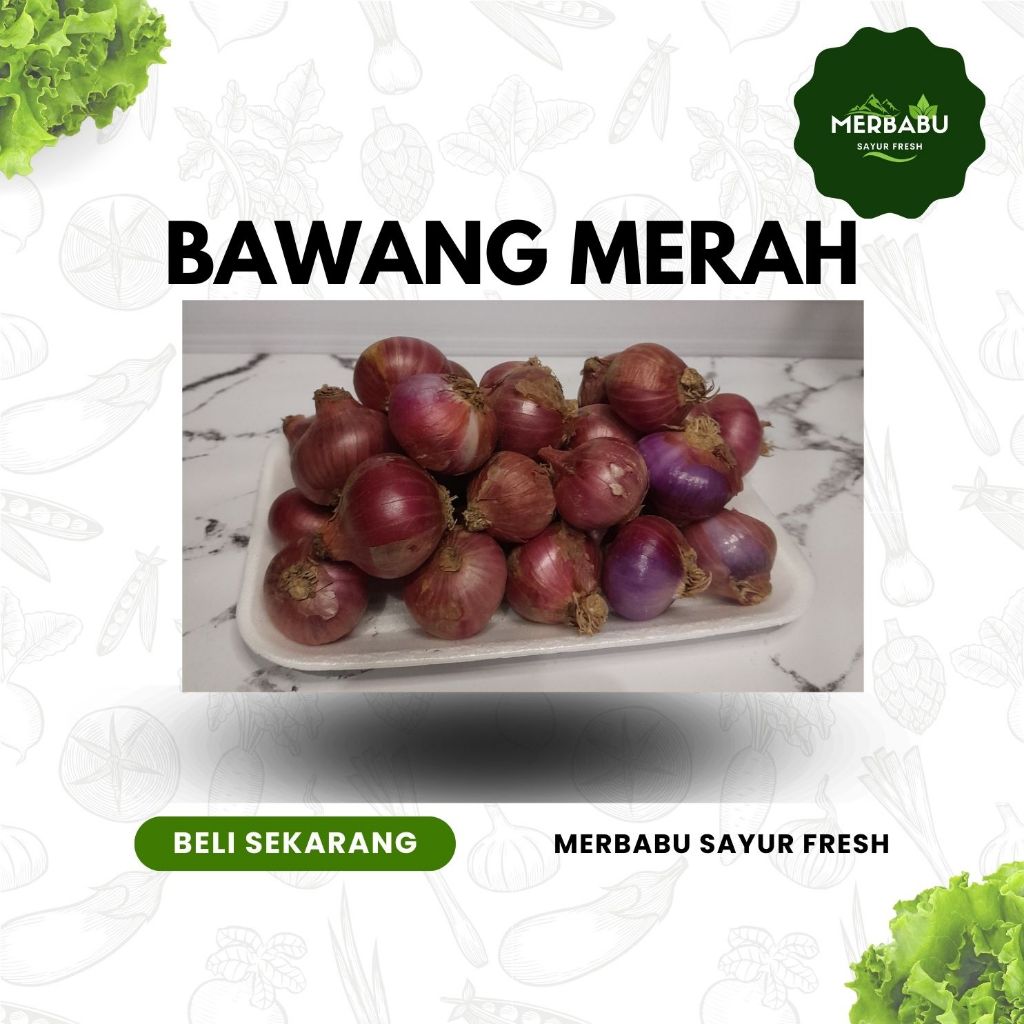 

BAWANG MERAH / BRAMBANG 1 KG Fresh Dari Kebun Sendiri