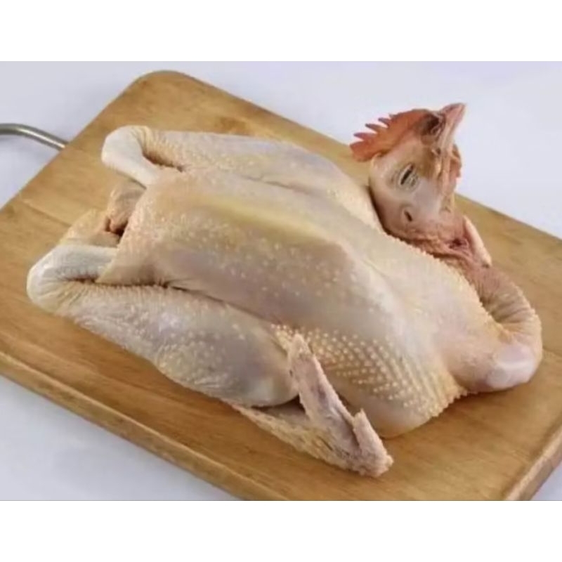 

Ayam Merah per ekor
