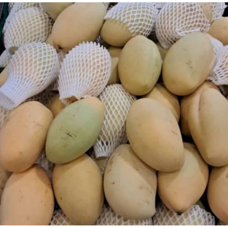 

Mangga Dokmai / Lokmai Thailand 1 Kg