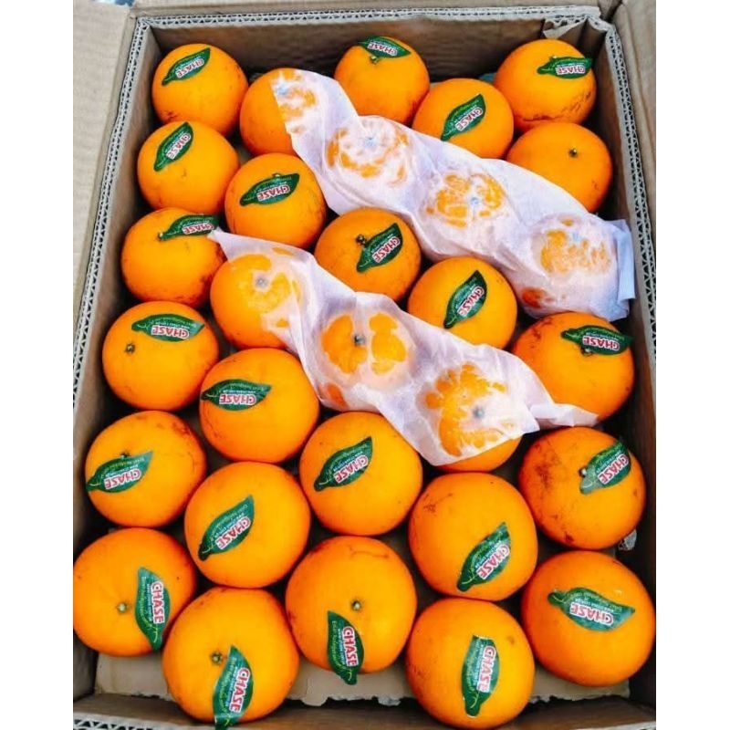 

JERUK KINO 1 KERANJANG 6kg