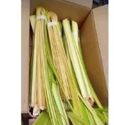 

janur kelapa muda 10 lembar untuk ketupat