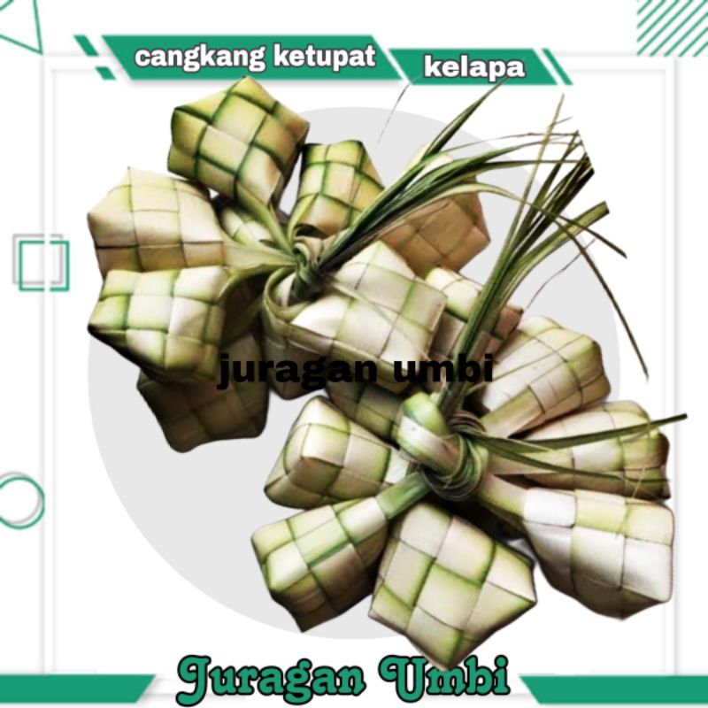 

cangkang ketupat kelapa / ketupan kosong 1 pcs