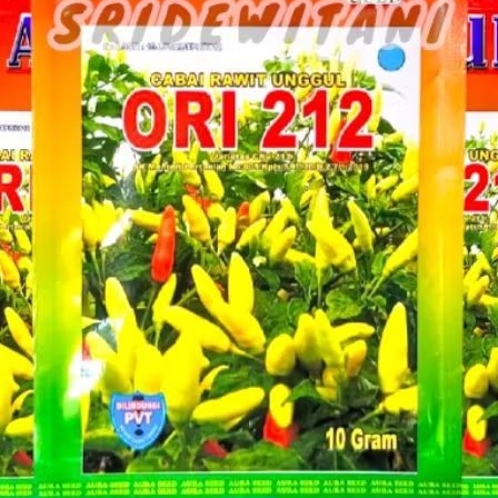 BIBIT CABE RAWIT ORI 212 BENIH CABE RAWIT TAHAN VIRUS AURA SEED