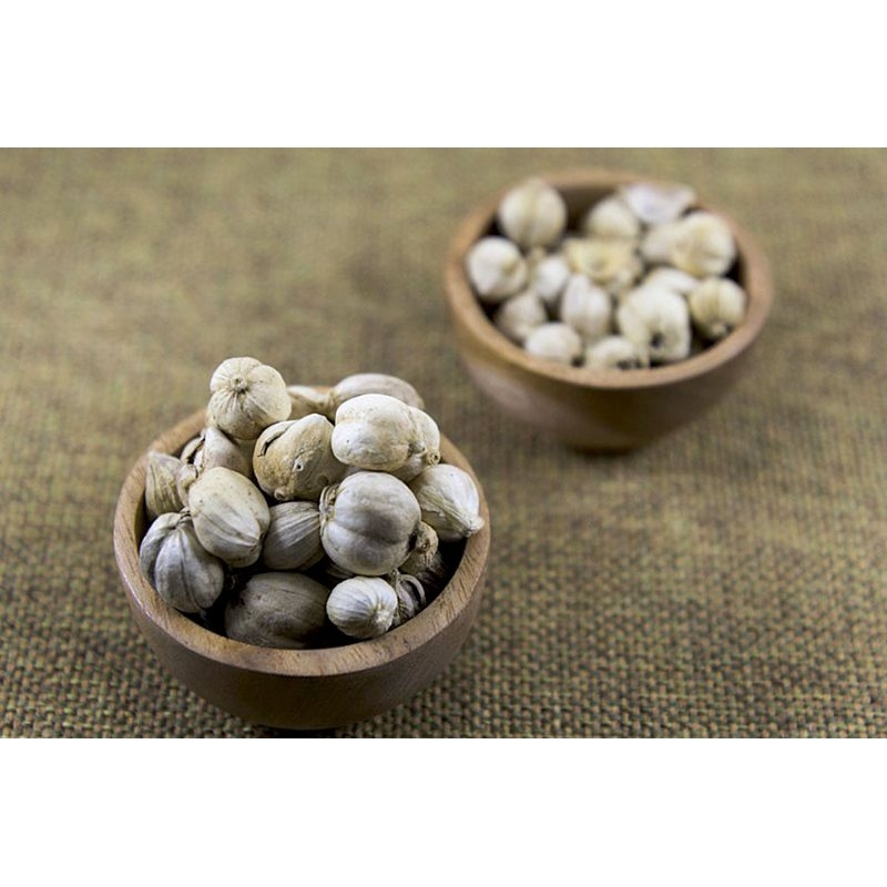 

KAPULAGA JAWA murni alami 25gr-100gr