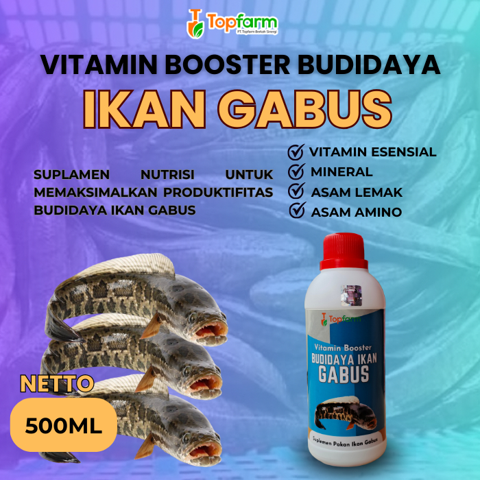 Vitamin Booster Ikan Gabus 500ML/ Vitamin Ternak Ikan Gabus/ Vitamin Ikan Gabus Cepat Besar/ Vitamin