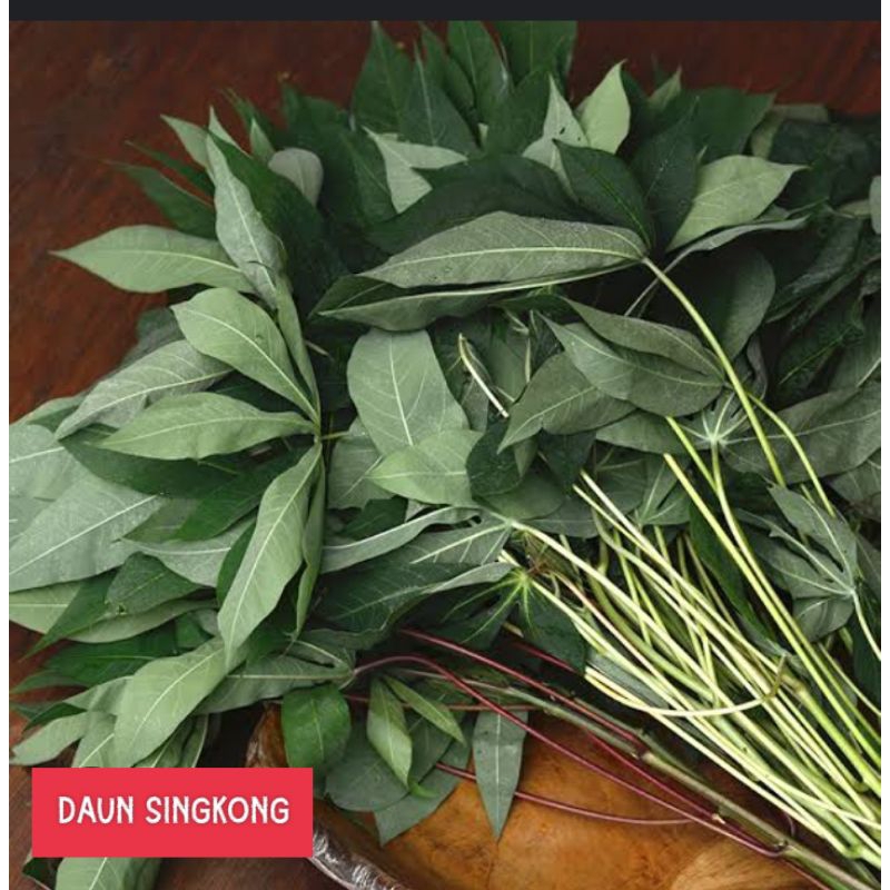

SAYUR SINGKONG , SAYUR DAUN SINGKONG, CASAVA LEAF, DAUN SINGKONG IKAT, DAUN SINGKONG MERAH, DAUN SINGKONG HIJAU, DAUN SINGKONG MALAYSIA