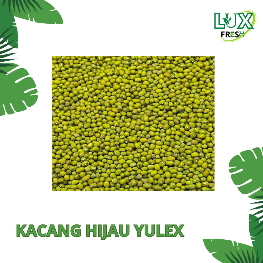 

KACANG HIJAU KEMASAN 1 KG DAN 500 GRAM BEST PRODUCT