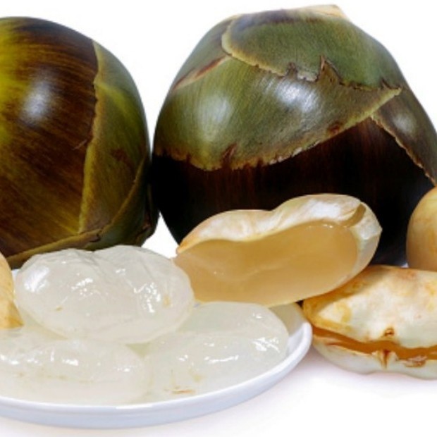 

Kolang kaling segar 1kg murah