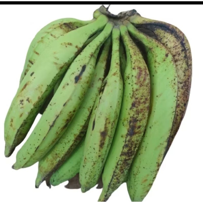 

PISANG TANDUK / PISANG TANDUK 1kg / PISANG TANDUK SUPER