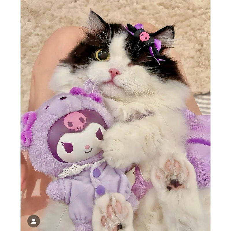 SELECTED SANRIO LATTE BABY KUROMI & MELODY