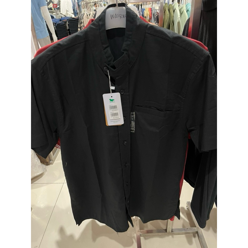 KEMEJA POLOS  PRIA DEWASA BY WALRUS  MATAHARI STORE