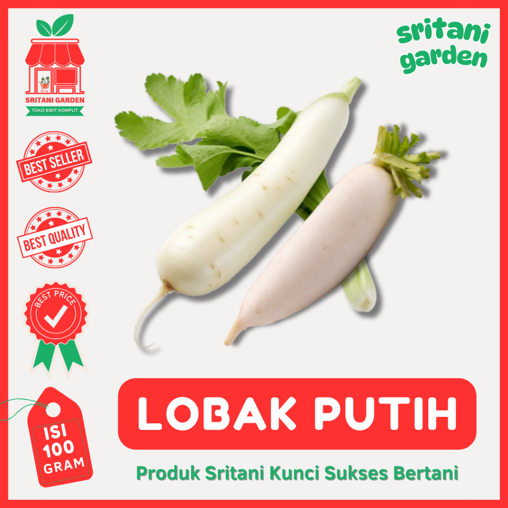 (100 Gram) Biji Benih Lobak Putih Sayur Kualitas Unggul