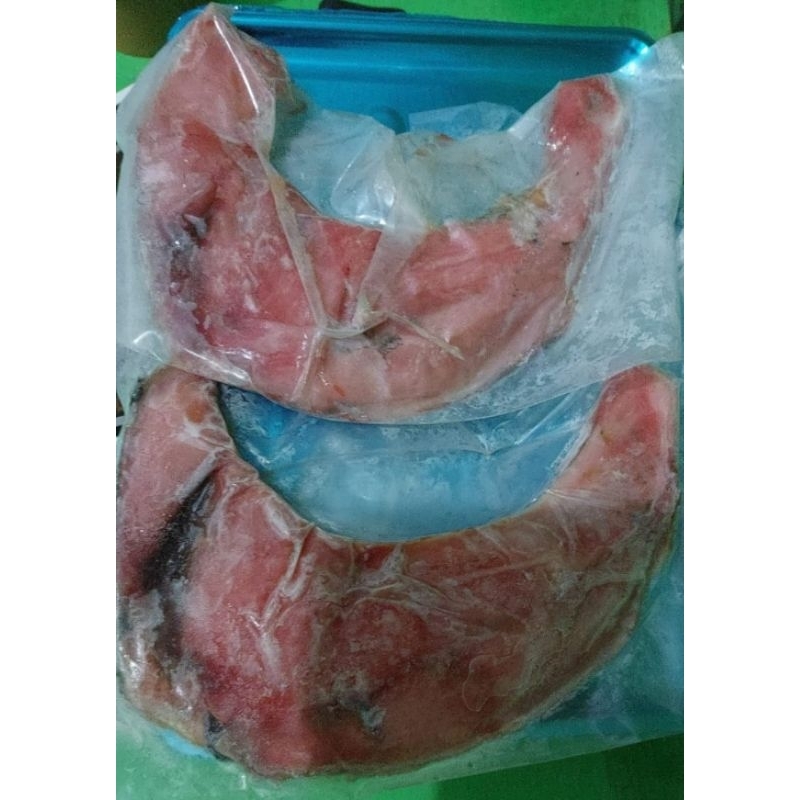 

Rahang Tuna